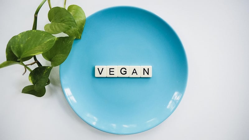 Plant-based Interiors