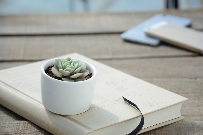 Plant Stands
